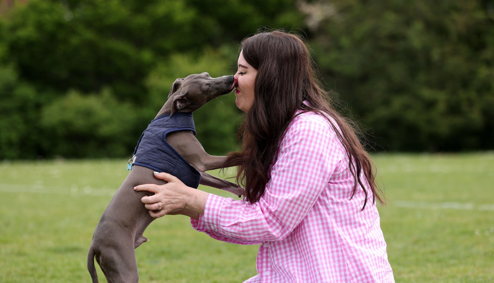 A woman in a pink chequered shirt is kneeling on grass while a small grey dog wearing a blue vest stands on its hind legs and licks her face. Trees and greenery are visible in the background.